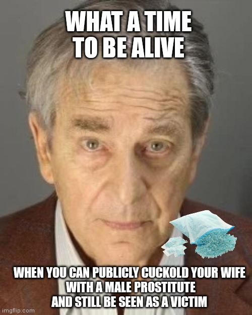 PAUL PELOSI | WHAT A TIME TO BE ALIVE; WHEN YOU CAN PUBLICLY CUCKOLD YOUR WIFE
 WITH A MALE PROSTITUTE
AND STILL BE SEEN AS A VICTIM | image tagged in paul pelosi | made w/ Imgflip meme maker