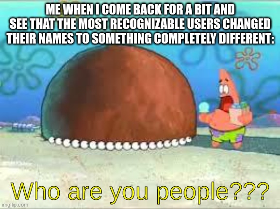 WHO ARE YOU PEOPLE? | ME WHEN I COME BACK FOR A BIT AND SEE THAT THE MOST RECOGNIZABLE USERS CHANGED THEIR NAMES TO SOMETHING COMPLETELY DIFFERENT:; Who are you people??? | image tagged in who are you people | made w/ Imgflip meme maker