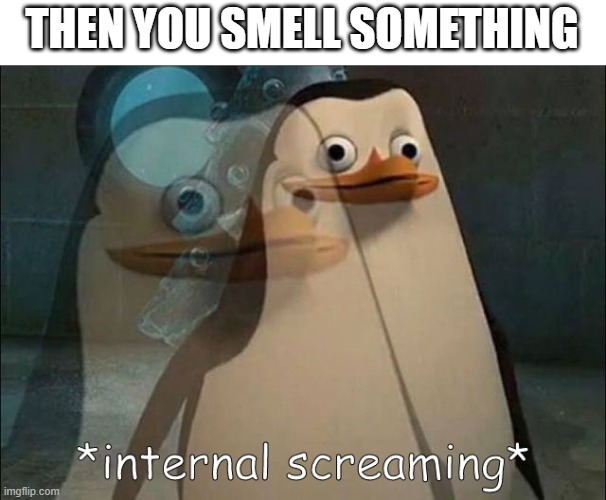 Private Internal Screaming | THEN YOU SMELL SOMETHING | image tagged in private internal screaming | made w/ Imgflip meme maker