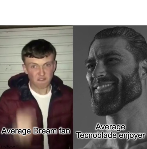 Dream vs Tecnoblade | Average Tecnoblade enjoyer; Average Dream fan | image tagged in average fan vs average enjoyer | made w/ Imgflip meme maker