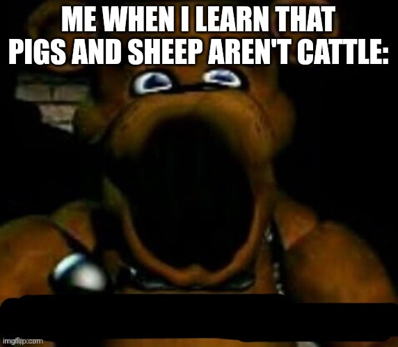 stupid freddy fazbear | ME WHEN I LEARN THAT PIGS AND SHEEP AREN'T CATTLE: | image tagged in stupid freddy fazbear | made w/ Imgflip meme maker