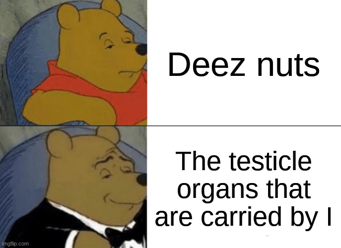 Tuxedo Winnie The Pooh | Deez nuts; The testicle organs that are carried by I | image tagged in memes,tuxedo winnie the pooh,deez nuts,yes | made w/ Imgflip meme maker