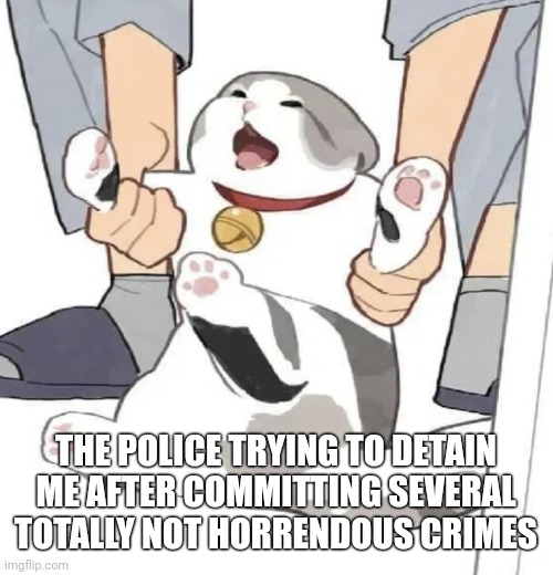 Shitpost 3 | THE POLICE TRYING TO DETAIN ME AFTER COMMITTING SEVERAL TOTALLY NOT HORRENDOUS CRIMES | image tagged in not leaving cat | made w/ Imgflip meme maker