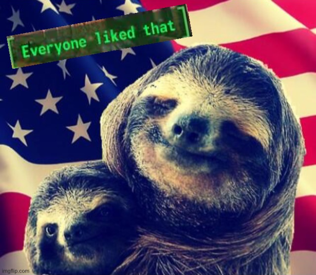 High Quality Patriotic parental sloth everyone liked that Blank Meme Template