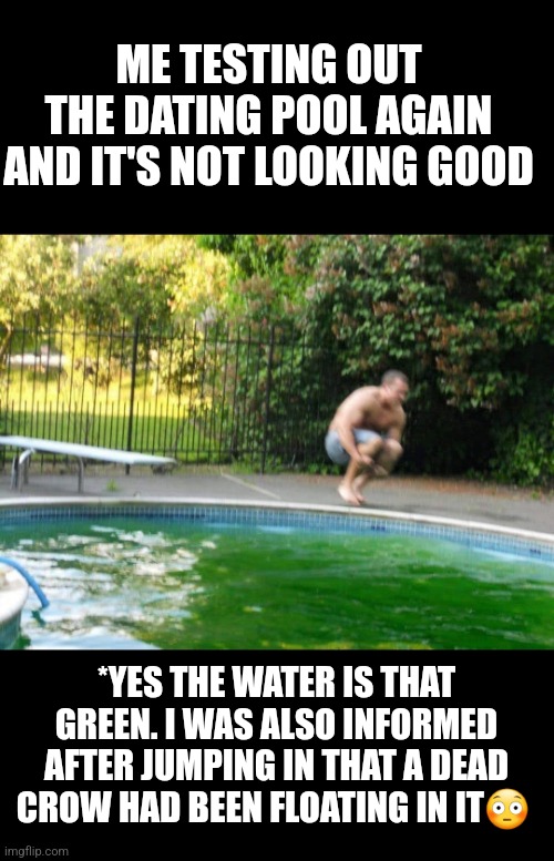 Dating pool | ME TESTING OUT THE DATING POOL AGAIN AND IT'S NOT LOOKING GOOD; *YES THE WATER IS THAT GREEN. I WAS ALSO INFORMED AFTER JUMPING IN THAT A DEAD CROW HAD BEEN FLOATING IN IT😳 | image tagged in dating,funny memes,funny | made w/ Imgflip meme maker