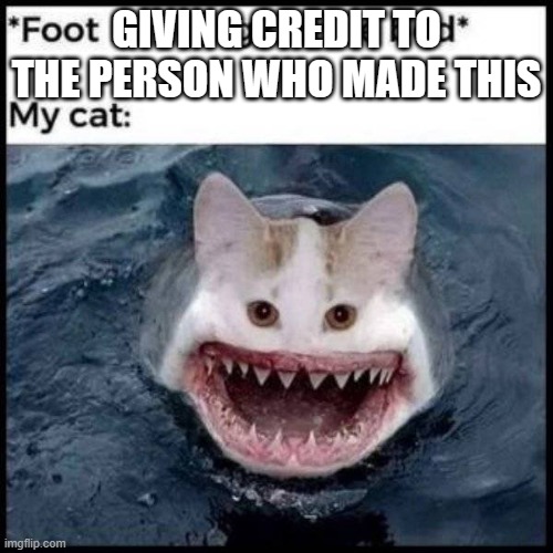 GIVING CREDIT TO THE PERSON WHO MADE THIS | image tagged in cats,hahaha | made w/ Imgflip meme maker