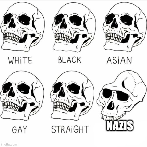 Skull Comparison | NAZIS | image tagged in skull comparison | made w/ Imgflip meme maker