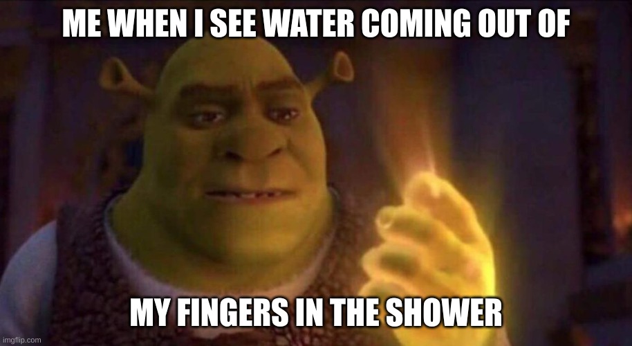 Shrek Glowing Hand | ME WHEN I SEE WATER COMING OUT OF; MY FINGERS IN THE SHOWER | image tagged in shrek glowing hand,memes,funny,shrek | made w/ Imgflip meme maker