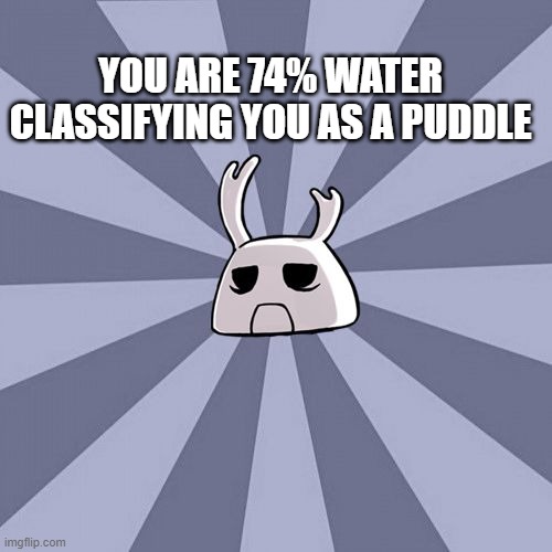 Zote the Mighty | YOU ARE 74% WATER CLASSIFYING YOU AS A PUDDLE | image tagged in zote the mighty | made w/ Imgflip meme maker