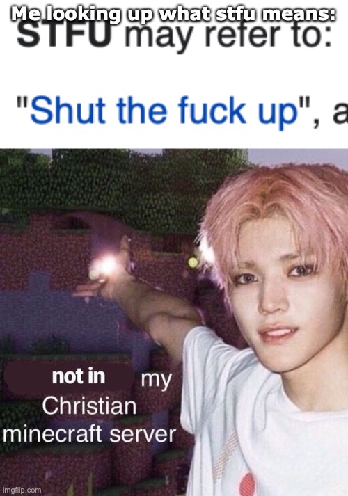 Me looking up what stfu means: | image tagged in not in my christian minecraft server | made w/ Imgflip meme maker