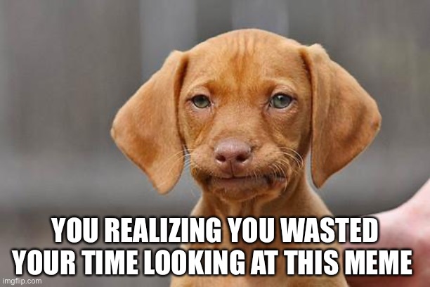 ? | YOU REALIZING YOU WASTED YOUR TIME LOOKING AT THIS MEME | image tagged in dissapointed puppy | made w/ Imgflip meme maker