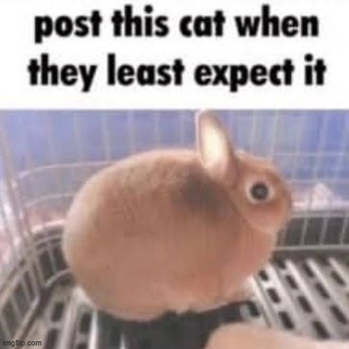 Guess you didn't expect this coming | made w/ Imgflip meme maker