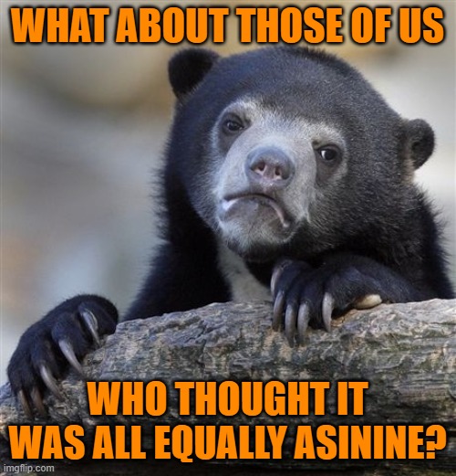 Confession Bear Meme | WHAT ABOUT THOSE OF US WHO THOUGHT IT WAS ALL EQUALLY ASININE? | image tagged in memes,confession bear | made w/ Imgflip meme maker