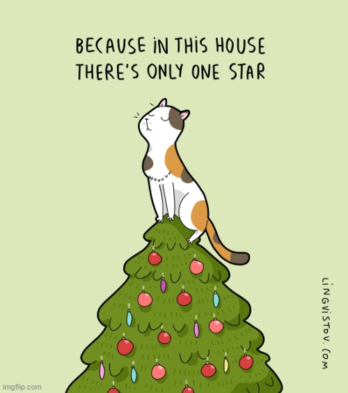 A Cat's Way Of Thinking At Christmas | image tagged in memes,comics,cats,one,christmas tree,star | made w/ Imgflip meme maker
