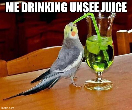 Big Sip | ME DRINKING UNSEE JUICE | image tagged in big sip | made w/ Imgflip meme maker