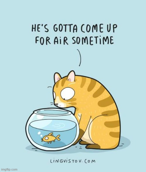 A Cat's Way Of Thinking | image tagged in memes,comics,cats,fish,air,sometimes i wonder | made w/ Imgflip meme maker