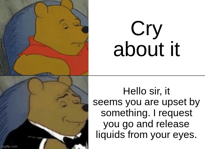 insert title | Cry about it; Hello sir, it seems you are upset by something. I request you go and release liquids from your eyes. | image tagged in memes,tuxedo winnie the pooh | made w/ Imgflip meme maker