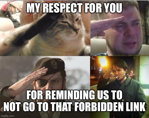 Ozon's Salute | MY RESPECT FOR YOU FOR REMINDING US TO NOT GO TO THAT FORBIDDEN LINK | image tagged in ozon's salute | made w/ Imgflip meme maker