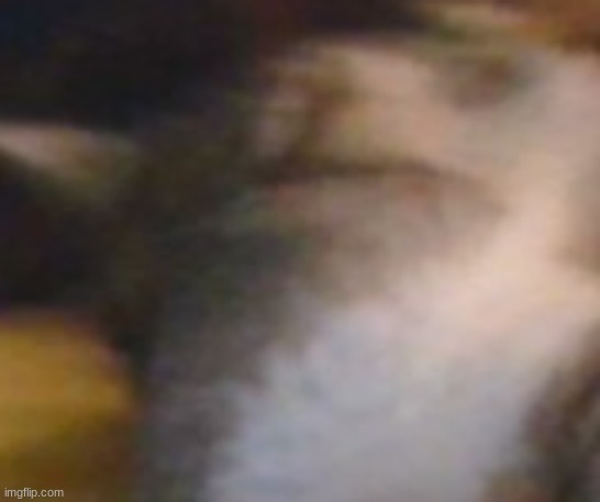 Cat | made w/ Imgflip meme maker