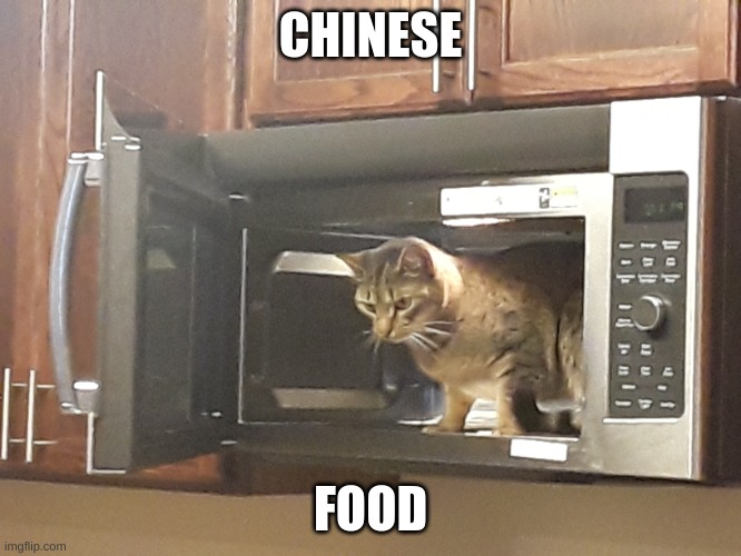 Cat in Microwave | CHINESE FOOD | image tagged in cat in microwave | made w/ Imgflip meme maker