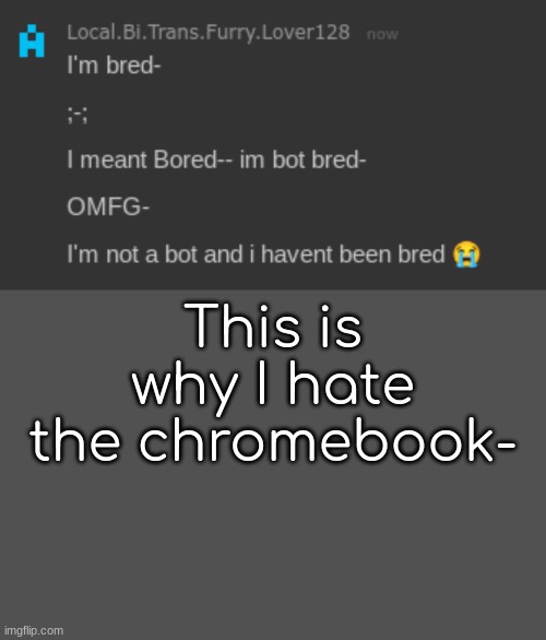 Why, just, why | This is why I hate the chromebook- | image tagged in memes,blank transparent square | made w/ Imgflip meme maker