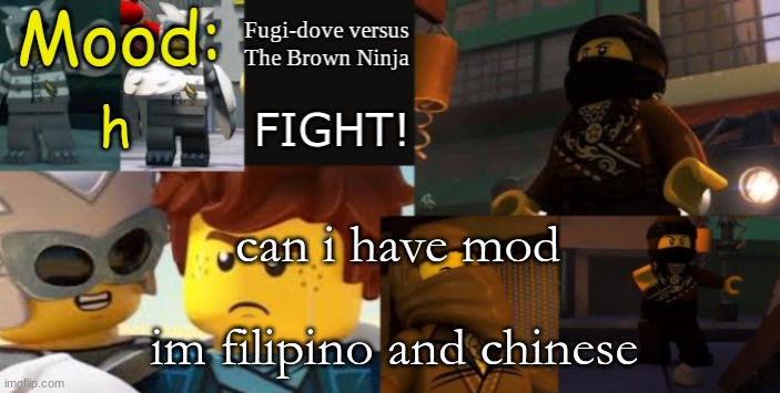 FDVTBN Temp 2.1 | h; can i have mod; im filipino and chinese | image tagged in fdvtbn temp 2 1 | made w/ Imgflip meme maker