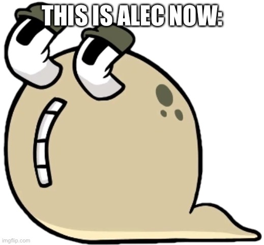 Q | THIS IS ALEC NOW: | image tagged in q | made w/ Imgflip meme maker