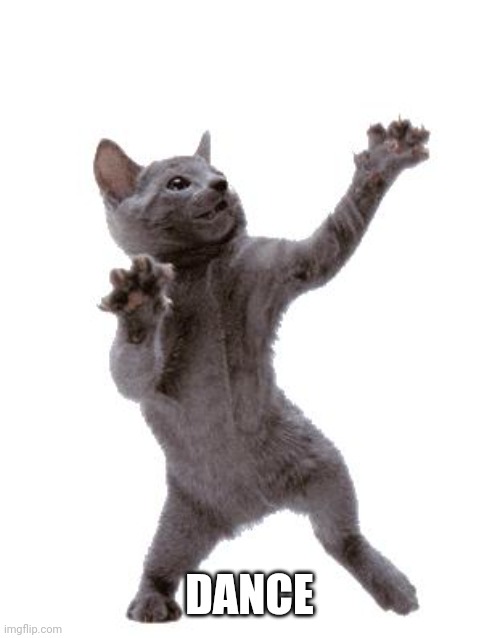 Happy Dance Cat | DANCE | image tagged in happy dance cat | made w/ Imgflip meme maker