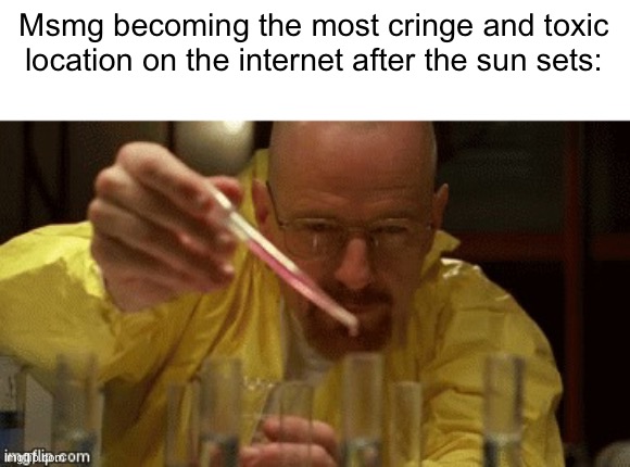 Walter White Cooking | Msmg becoming the most cringe and toxic location on the internet after the sun sets: | image tagged in walter white cooking | made w/ Imgflip meme maker