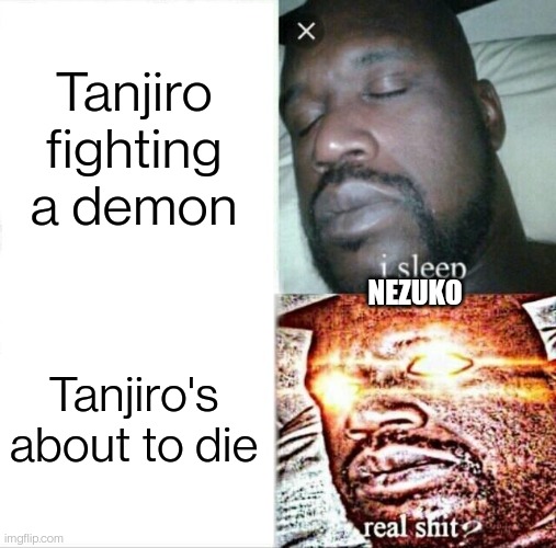 Pov: Tanjiro's fighting | Tanjiro fighting a demon; NEZUKO; Tanjiro's about to die | image tagged in memes,sleeping shaq | made w/ Imgflip meme maker