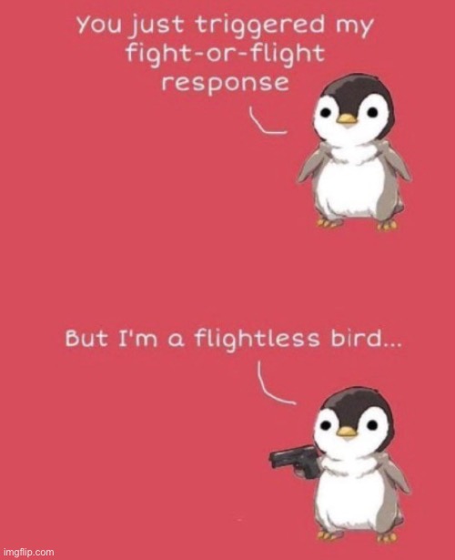 new temp | image tagged in flight or fight response flightless bird,birds,new template,gun,penguin | made w/ Imgflip meme maker