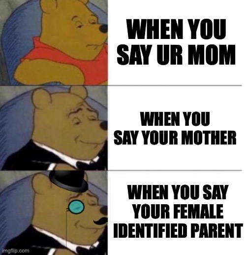 Tuxedo Winnie the Pooh (3 panel) | WHEN YOU SAY UR MOM WHEN YOU SAY YOUR MOTHER WHEN YOU SAY YOUR FEMALE IDENTIFIED PARENT | image tagged in tuxedo winnie the pooh 3 panel | made w/ Imgflip meme maker
