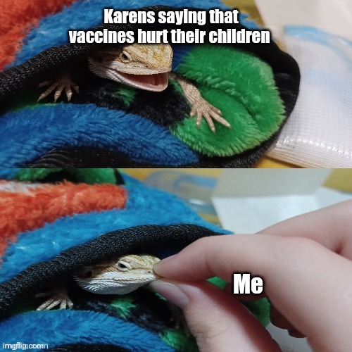 Hawthorn's mouth being shut | Karens saying that vaccines hurt their children; Me | image tagged in hawthorn's mouth being shut | made w/ Imgflip meme maker
