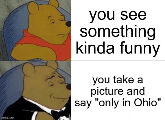 Ohio go brrr | you see something kinda funny; you take a picture and say "only in Ohio" | image tagged in memes,tuxedo winnie the pooh | made w/ Imgflip meme maker