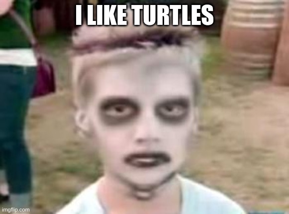 I like turtles | I LIKE TURTLES | image tagged in i like turtles | made w/ Imgflip meme maker