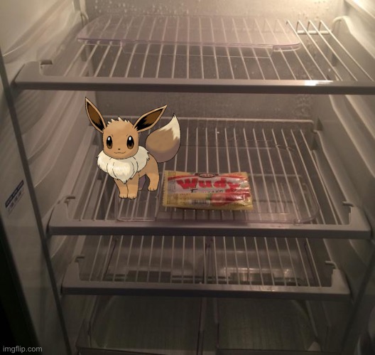 Empty fridge | image tagged in empty fridge | made w/ Imgflip meme maker