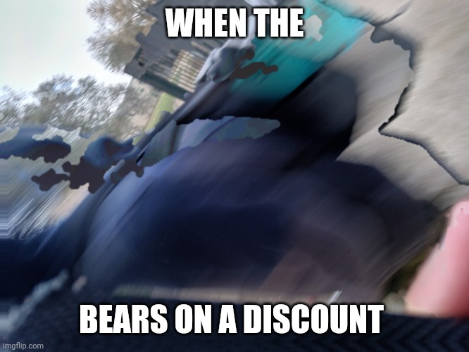 I don't know what this came out as | WHEN THE; BEARS ON A DISCOUNT | image tagged in when the blank is blank | made w/ Imgflip meme maker