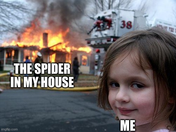 What about the Russian kid | THE SPIDER IN MY HOUSE; ME | image tagged in memes,disaster girl | made w/ Imgflip meme maker