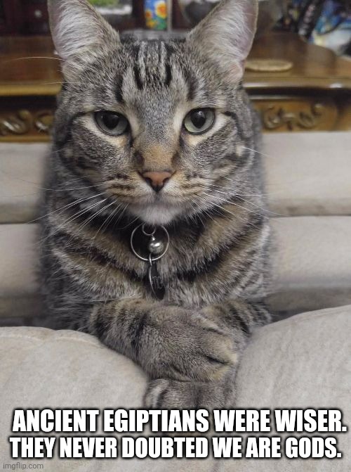 don't care cat | THEY NEVER DOUBTED WE ARE GODS. ANCIENT EGIPTIANS WERE WISER. | image tagged in don't care cat | made w/ Imgflip meme maker