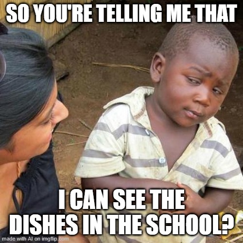 Third World Skeptical Kid | SO YOU'RE TELLING ME THAT; I CAN SEE THE DISHES IN THE SCHOOL? | image tagged in memes,third world skeptical kid | made w/ Imgflip meme maker