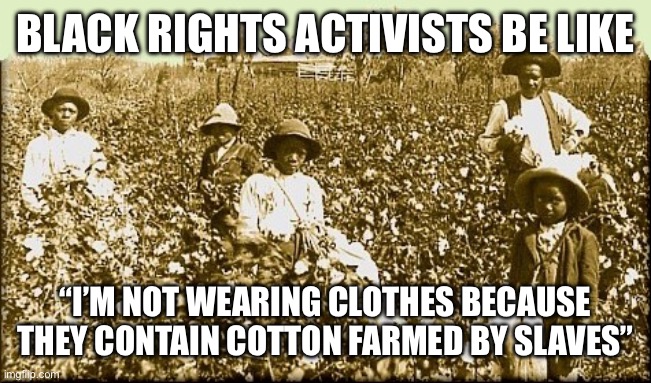 cotton slaves | BLACK RIGHTS ACTIVISTS BE LIKE; “I’M NOT WEARING CLOTHES BECAUSE THEY CONTAIN COTTON FARMED BY SLAVES” | image tagged in cotton slaves | made w/ Imgflip meme maker