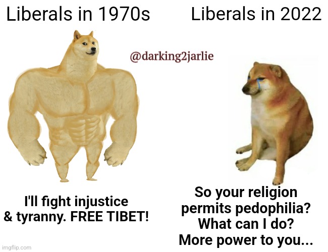 D-Evolution | Liberals in 1970s; Liberals in 2022; @darking2jarlie; So your religion permits pedophilia? What can I do? More power to you... I'll fight injustice & tyranny. FREE TIBET! | image tagged in memes,buff doge vs cheems,liberals,liberal hypocrisy,america,stupid liberals | made w/ Imgflip meme maker