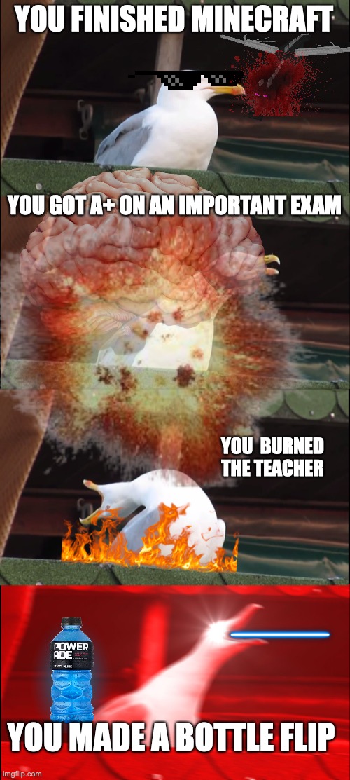 Inhaling Seagull Meme | YOU FINISHED MINECRAFT; YOU GOT A+ ON AN IMPORTANT EXAM; YOU  BURNED THE TEACHER; YOU MADE A BOTTLE FLIP | image tagged in memes,inhaling seagull,power | made w/ Imgflip meme maker
