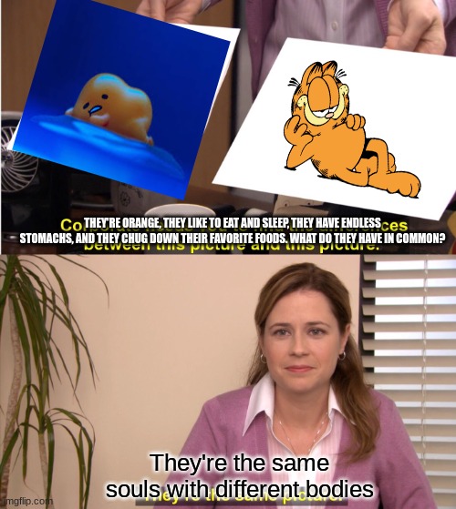 It all connects. | THEY'RE ORANGE, THEY LIKE TO EAT AND SLEEP, THEY HAVE ENDLESS STOMACHS, AND THEY CHUG DOWN THEIR FAVORITE FOODS. WHAT DO THEY HAVE IN COMMON? They're the same souls with different bodies | image tagged in memes,they're the same picture,gudetama,garfield | made w/ Imgflip meme maker