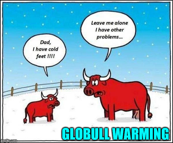 baby it's cold outside... | GLOBULL WARMING | image tagged in dad joke | made w/ Imgflip meme maker