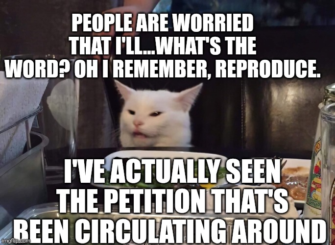 PEOPLE ARE WORRIED THAT I'LL...WHAT'S THE WORD? OH I REMEMBER, REPRODUCE. I'VE ACTUALLY SEEN THE PETITION THAT'S BEEN CIRCULATING AROUND | image tagged in smudge the cat | made w/ Imgflip meme maker