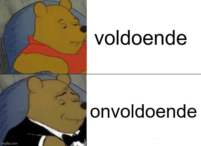 Tuxedo Winnie The Pooh Meme | voldoende; onvoldoende | image tagged in memes,tuxedo winnie the pooh | made w/ Imgflip meme maker