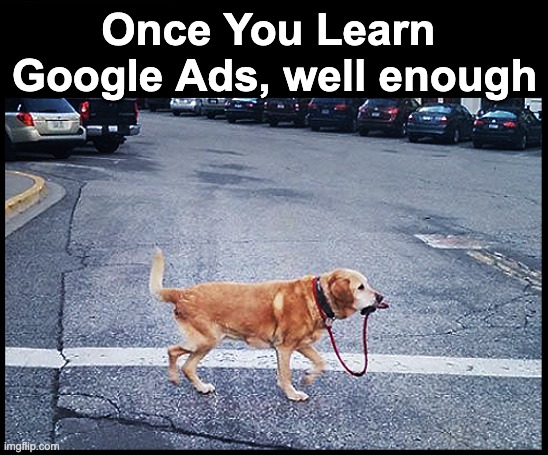 Once you learn Google Ads well enough | Once You Learn 
Google Ads, well enough | image tagged in dog,walking,google,ads,googleads | made w/ Imgflip meme maker