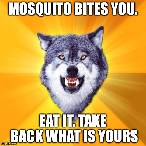 Courage Wolf | MOSQUITO BITES YOU. EAT IT. TAKE BACK WHAT IS YOURS | image tagged in memes,courage wolf | made w/ Imgflip meme maker