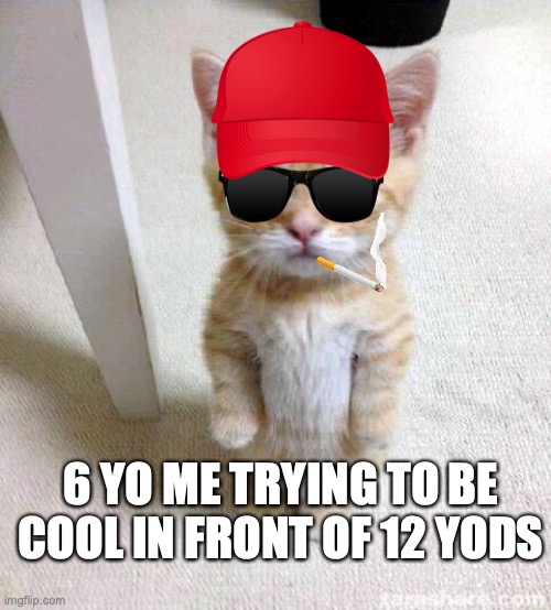 Cute Cat Meme | 6 YO ME TRYING TO BE COOL IN FRONT OF 12 YODS | image tagged in memes,cute cat,cool,cool cats | made w/ Imgflip meme maker